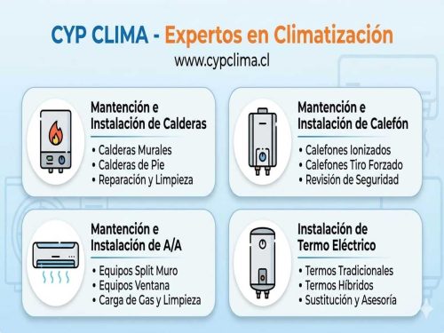 WhatsApp Image 2026-02-19 at 8.53.44 AM (1)